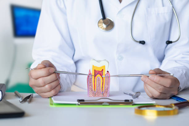 Best Dental Abscess Treatment in Narberth, PA